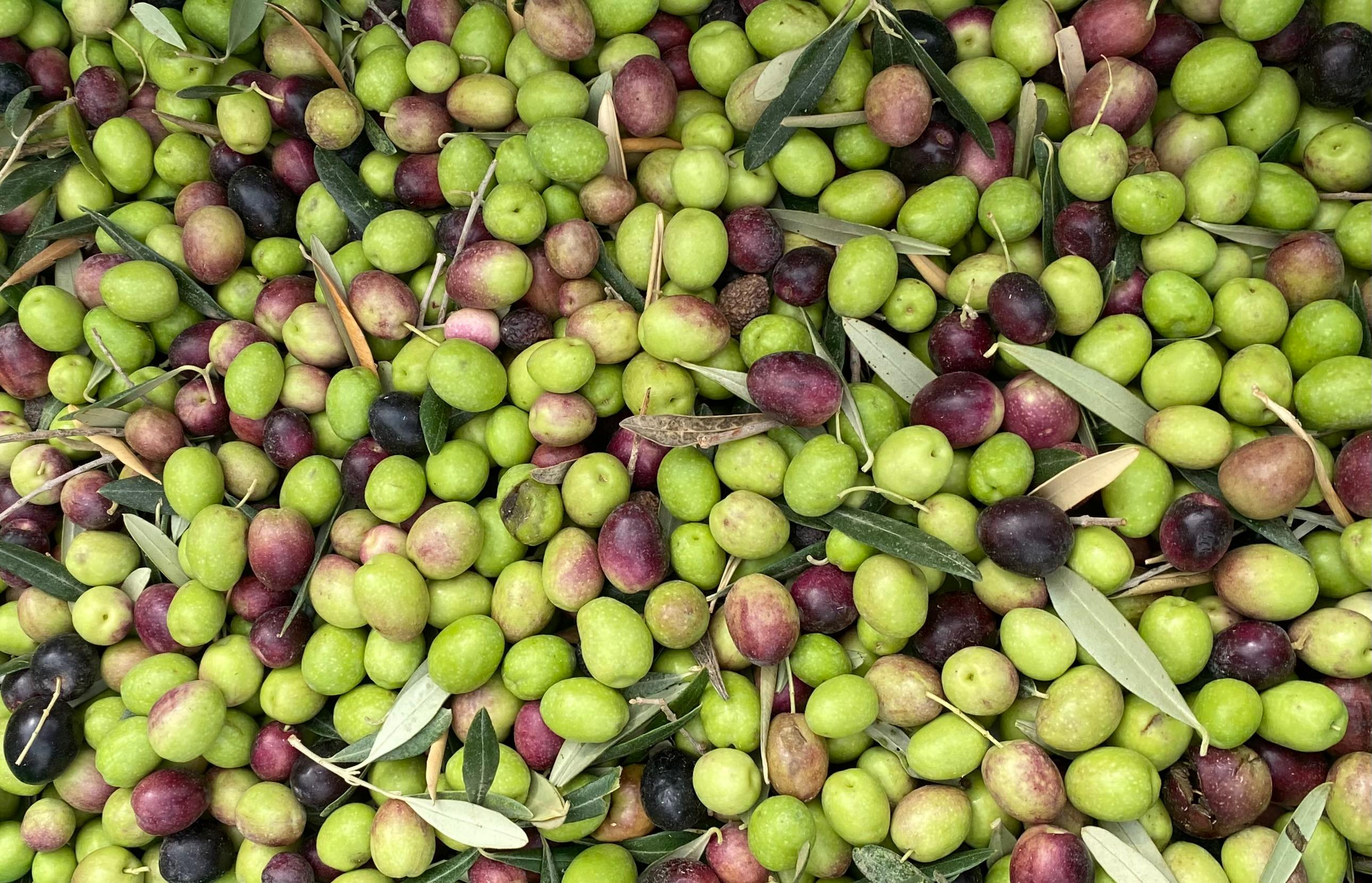 صورة المنشور